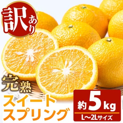 お試し<希少>樹上完熟 スイートスプリング 5kg(L～2L)満杯詰 サイズ混合のため訳アリ 