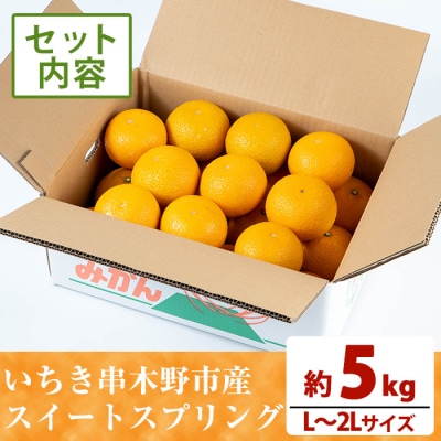 お試し<希少>樹上完熟 スイートスプリング 5kg(L～2L)満杯詰 サイズ混合のため訳アリ 