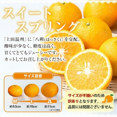 お試し<希少>樹上完熟 スイートスプリング 5kg(L～2L)満杯詰 サイズ混合のため訳アリ 