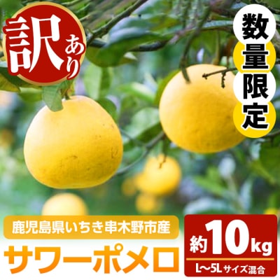 【訳あり】ご家庭用 サワーポメロ 10kg (L～5L)目安:20～25玉 満杯バラ詰め 農家直送