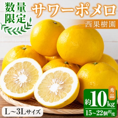 【数量限定】西果樹園のサワーポメロ(秀品) 10kg サイズ:L～3L 