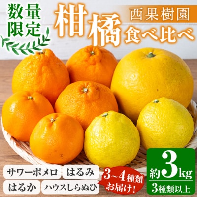【期間限定】柑橘の宝石箱♪西果樹園柑橘食べ比べセット:約3kg 3種以上