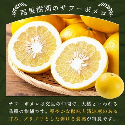 【期間限定】柑橘の宝石箱♪西果樹園柑橘食べ比べセット:約3kg 3種以上