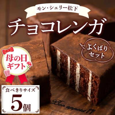 【令和8年 母の日】大人気!食べきりチョコレンガ セット!(ミニチョコレンガ 5個)