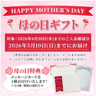 【令和8年 母の日】大人気!食べきりチョコレンガ セット!(ミニチョコレンガ 5個)