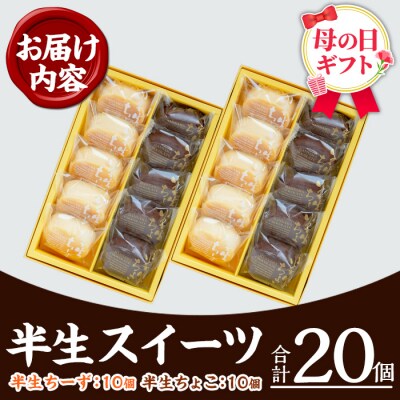 【令和8年 母の日】ふわっふわのスフレタイプのプチケーキ!半生チーズ・半生ちょこ詰合せ
