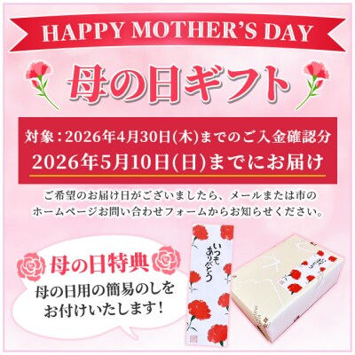 【令和8年 母の日】ふわっふわのスフレタイプのチーズケーキ♪半生ちーず20個　小分けなので便利♪