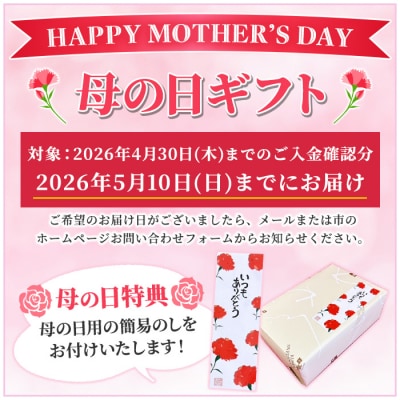【令和8年 母の日】ふんわりかるーいチョコレートケーキ♪　半生ちょこ20個 小分けなので便利♪