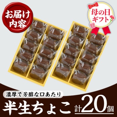 【令和8年 母の日】ふんわりかるーいチョコレートケーキ♪　半生ちょこ20個 小分けなので便利♪