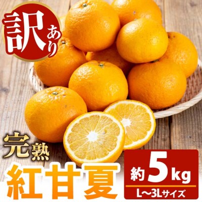 <訳アリ> 完熟 紅甘夏 約5kg L～3Lサイズ  サイズ不揃い 満杯 箱詰め サイズ混合