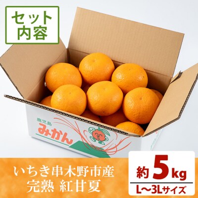 <訳アリ> 完熟 紅甘夏 約5kg L～3Lサイズ  サイズ不揃い 満杯 箱詰め サイズ混合