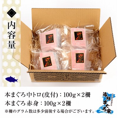 天然 本マグロ 中トロ 100g×2 赤身 100g×2 計400g 便利な真空小分け