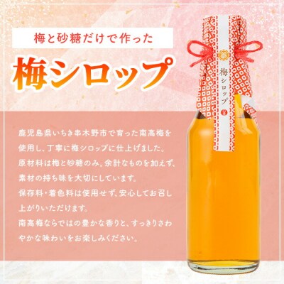 新登場!<数量限定>いちき串木野市産 梅シロップ 800ml(200ml×4本)南高梅