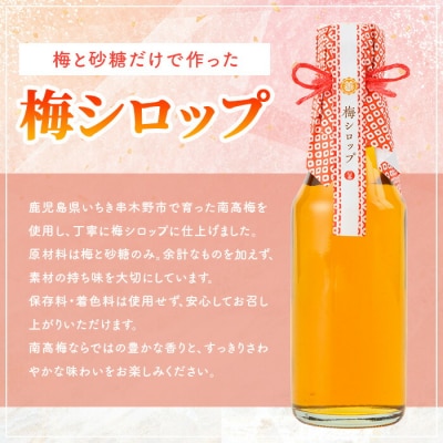 <数量限定>いちき串木野市産 梅シロップ 800ml(200ml×4本)南高梅
