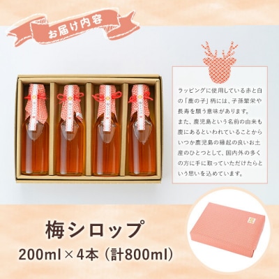 <数量限定>いちき串木野市産 梅シロップ 800ml(200ml×4本)南高梅