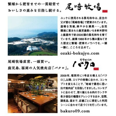 鹿児島県産 黒毛和牛 特上ロース 550g 国産 冷凍 和牛 焼肉におすすめ