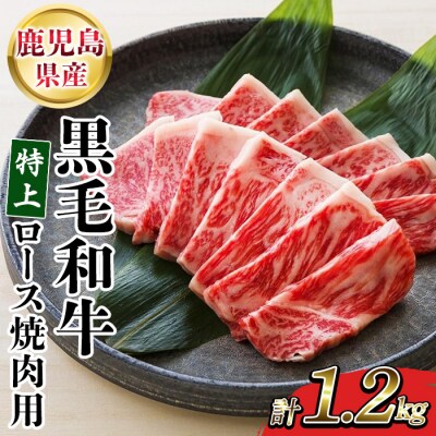 鹿児島県産 黒毛和牛 特上ロース 1.2kg 国産 冷凍 和牛 焼肉におすすめ