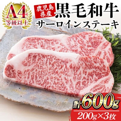 鹿児島県産 黒毛和牛 サーロイン ステーキ 200g×3枚 A-4等級以上 国産 冷凍 小分け