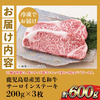 鹿児島県産 黒毛和牛 サーロイン ステーキ 200g×3枚 A-4等級以上 国産 冷凍 小分け