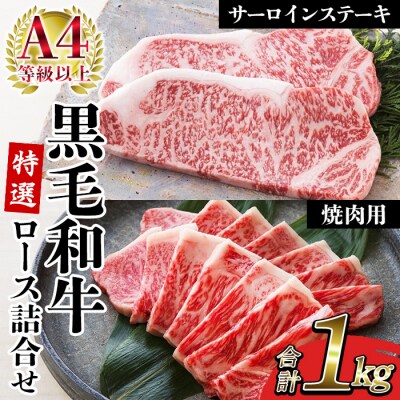 鹿児島県産 黒毛和牛 サーロイン ステーキ 250g×2枚 特選ロース 500g A-4等級以上