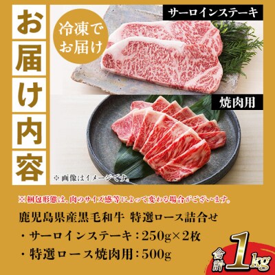 鹿児島県産 黒毛和牛 サーロイン ステーキ 250g×2枚 特選ロース 500g A-4等級以上