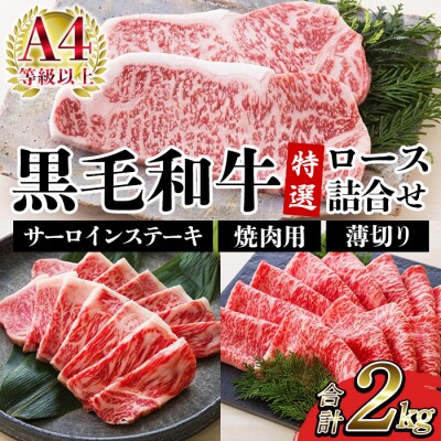 鹿児島県産 黒毛和牛 サーロイン ステーキ 250g×4枚 特選ロース 1kg A-4等級以上