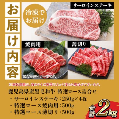 鹿児島県産 黒毛和牛 サーロイン ステーキ 250g×4枚 特選ロース 1kg A-4等級以上