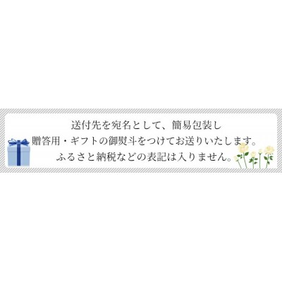 【お中元】鹿児島紀行ギフト H-535NR 肩ロース・焼豚等 5種 詰合せ セット