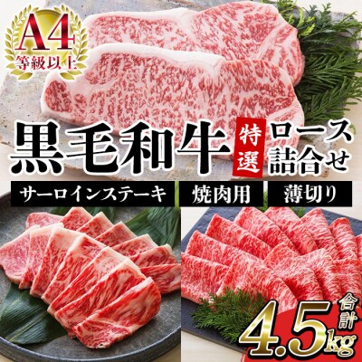 鹿児島県産 黒毛和牛 サーロイン ステーキ 250g×6枚 特選ロース 3kg A-4等級以上