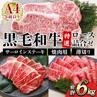 鹿児島県産 黒毛和牛 サーロイン ステーキ 250g×8枚 特選ロース 4kg A-4等級以上