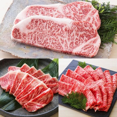 鹿児島県産 黒毛和牛 サーロイン ステーキ 250g×8枚 特選ロース 4kg A-4等級以上