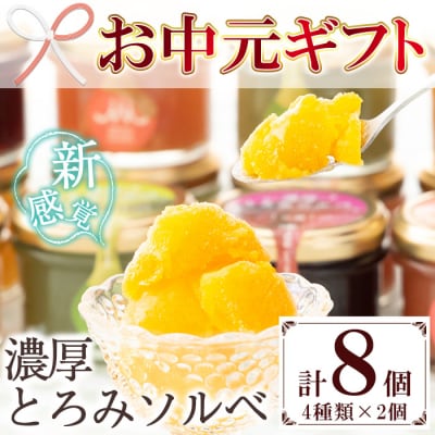 【お中元】新感覚アイス!”濃厚とろみソルベ”4種のこだわり素材を使用したソルベ詰め合わせ♪