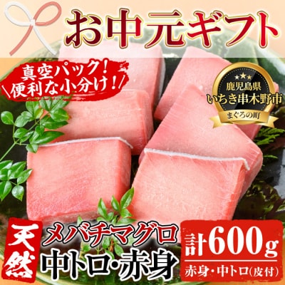 【お中元】天然! 旬の メバチマグロ 約600g(中トロ 100g×2 赤身 100g×4)