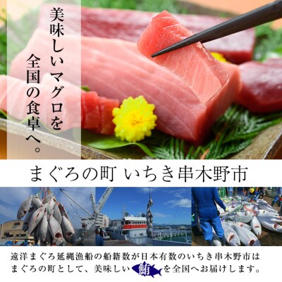 【お中元】天然! 旬の メバチマグロ 約600g(中トロ 100g×2 赤身 100g×4)