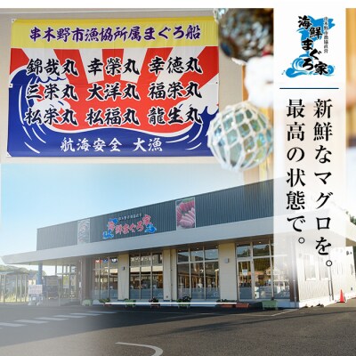 【お中元】天然! 旬の メバチマグロ 約600g(中トロ 100g×2 赤身 100g×4)