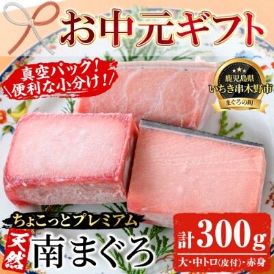 【お中元】【ちょこっとプレミアム】天然南まぐろフルセット 計約300g