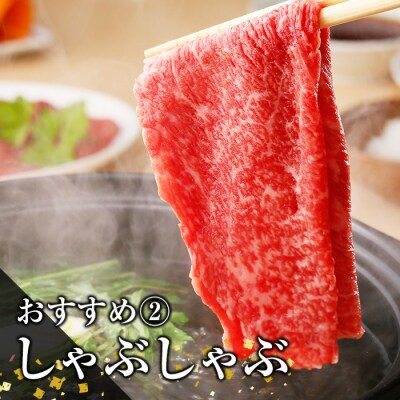 【お中元】鹿児島黒牛食べ比べ 肩ロース・ウデスライス各300g 計600g すき焼き肉
