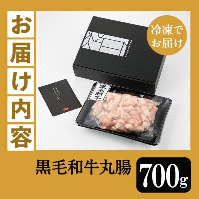 【お中元】もつ鍋や焼肉に!鹿児島県産黒毛和牛ホルモン(丸腸)約700g
