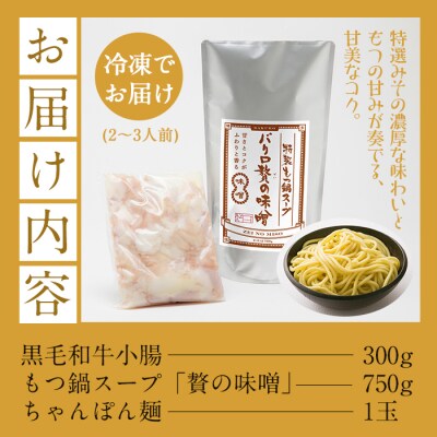 【お中元】鹿児島県産!黒毛和牛<味噌>もつ鍋セット(2～3人前)