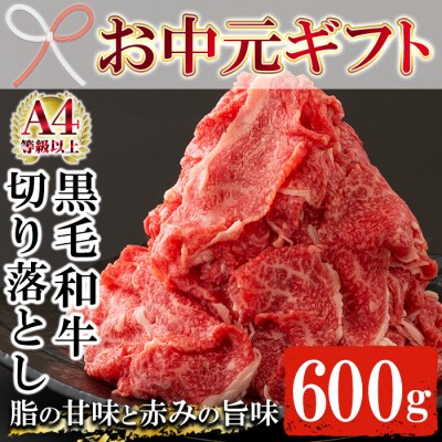 【お中元】鹿児島尾崎牧場産黒毛和牛切り落とし 約600g(300g×2P)