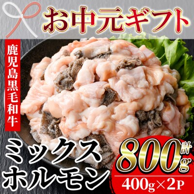【お中元】黒毛和牛ミックスホルモン(800g)