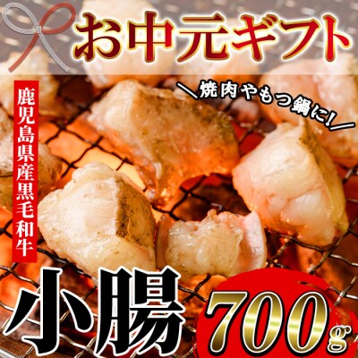 【お中元】黒毛和牛小腸700g