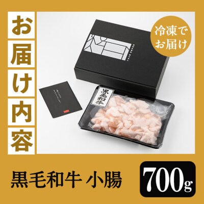 【お中元】黒毛和牛小腸700g