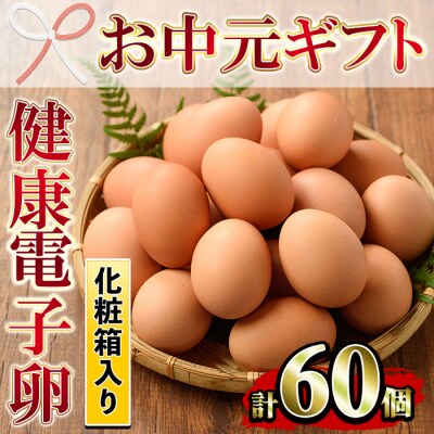 【お中元】鹿児島県産!健康電子卵(計60個・10個入り×6P)