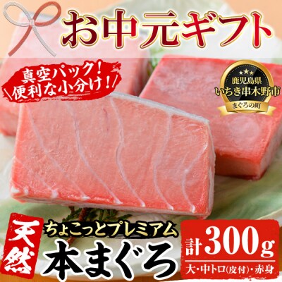 【お中元】☆ちょこっとプレミアム☆天然本まぐろフルセット 計約300g