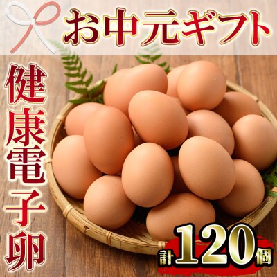 【お中元】鹿児島県産!健康電子卵(計120個・10個入り×12P)
