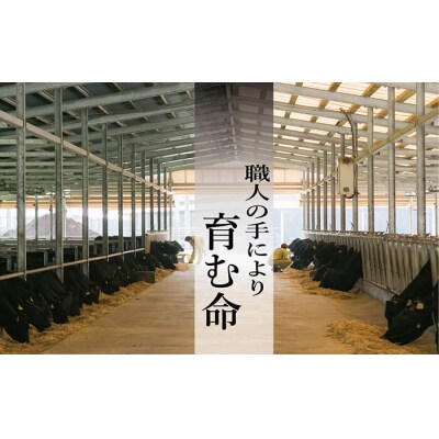 黒毛和牛 スネ肉 切り落とし 700g
