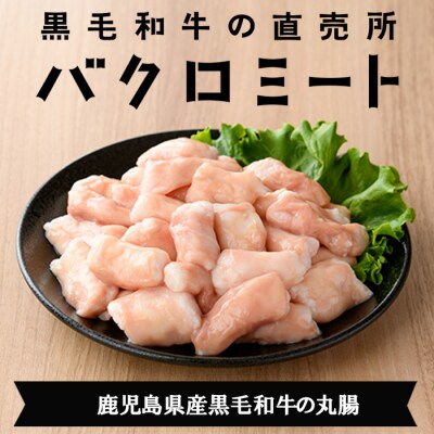 【お中元】鹿児島県産黒毛和牛ホルモン 丸腸 300g×2P
