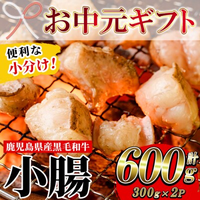 【お中元】鹿児島県産黒毛和牛の小腸 ホルモン 300g×2P