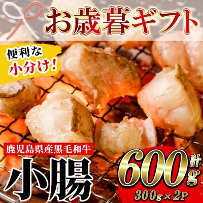 【お歳暮】鹿児島県産黒毛和牛の小腸 ホルモン 300g×2P